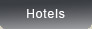 What Hotels do we have